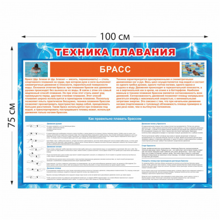Стенд Техника плавания брассом 0429 100×75 см